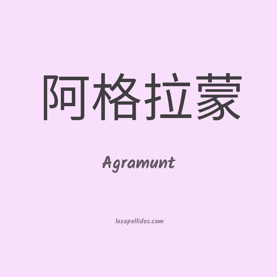 Agramunt en chino