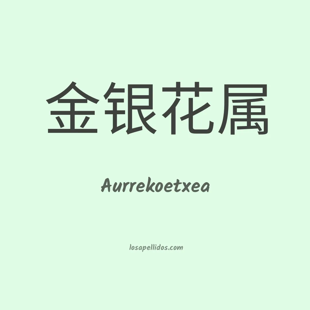 Aurrekoetxea en chino