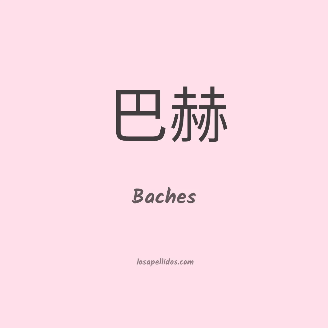 Baches en chino