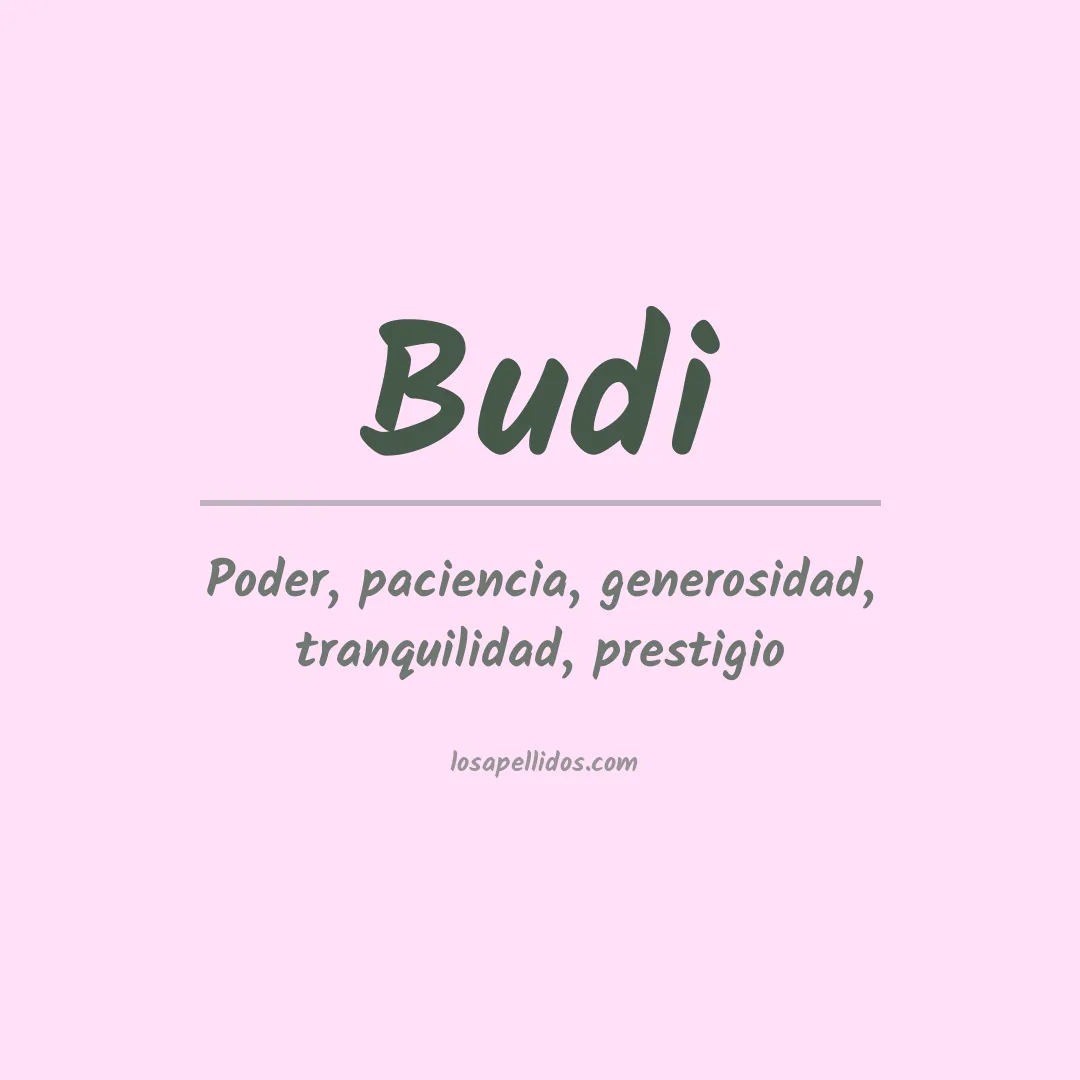 Apellido Budi