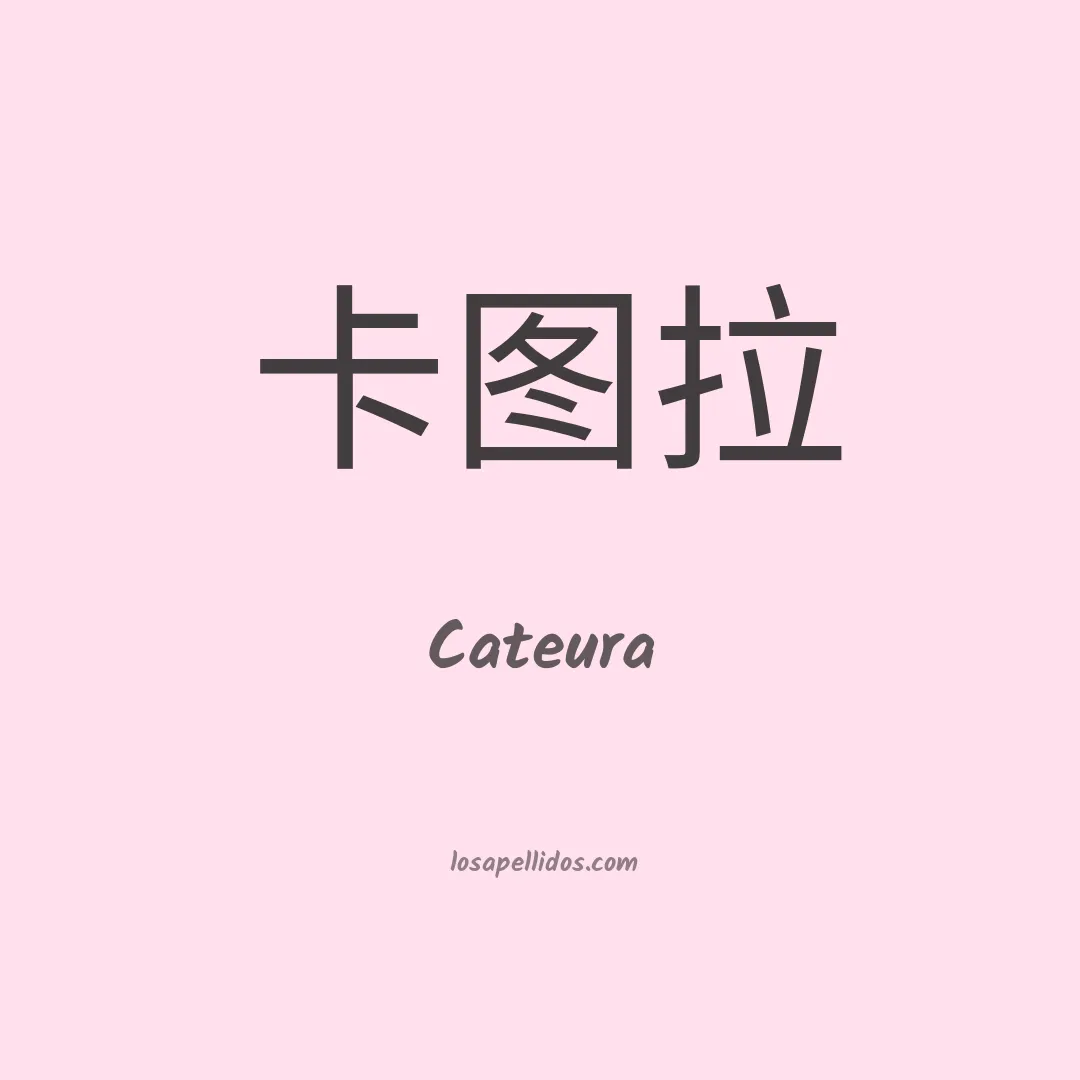 Cateura en chino