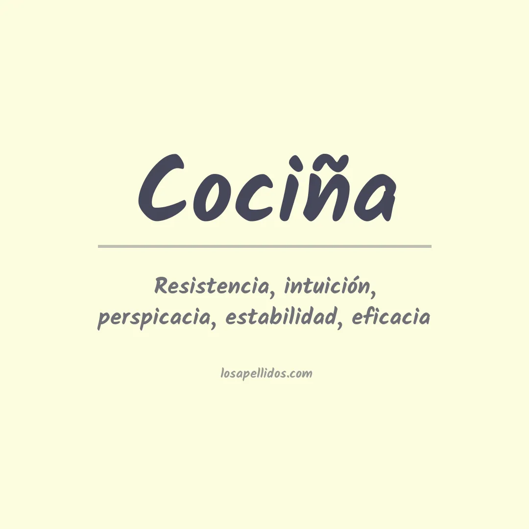 Apellido Cociña