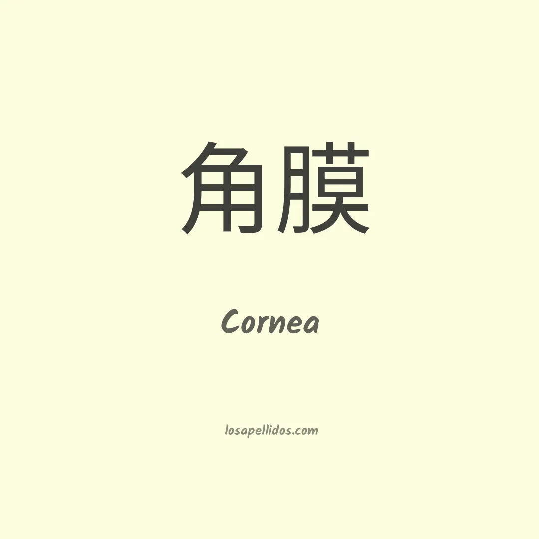 Cornea en chino