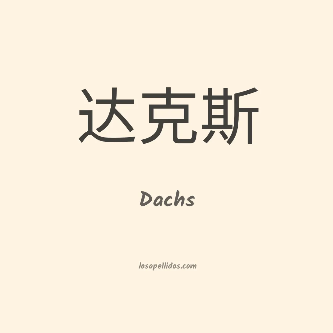 Dachs en chino