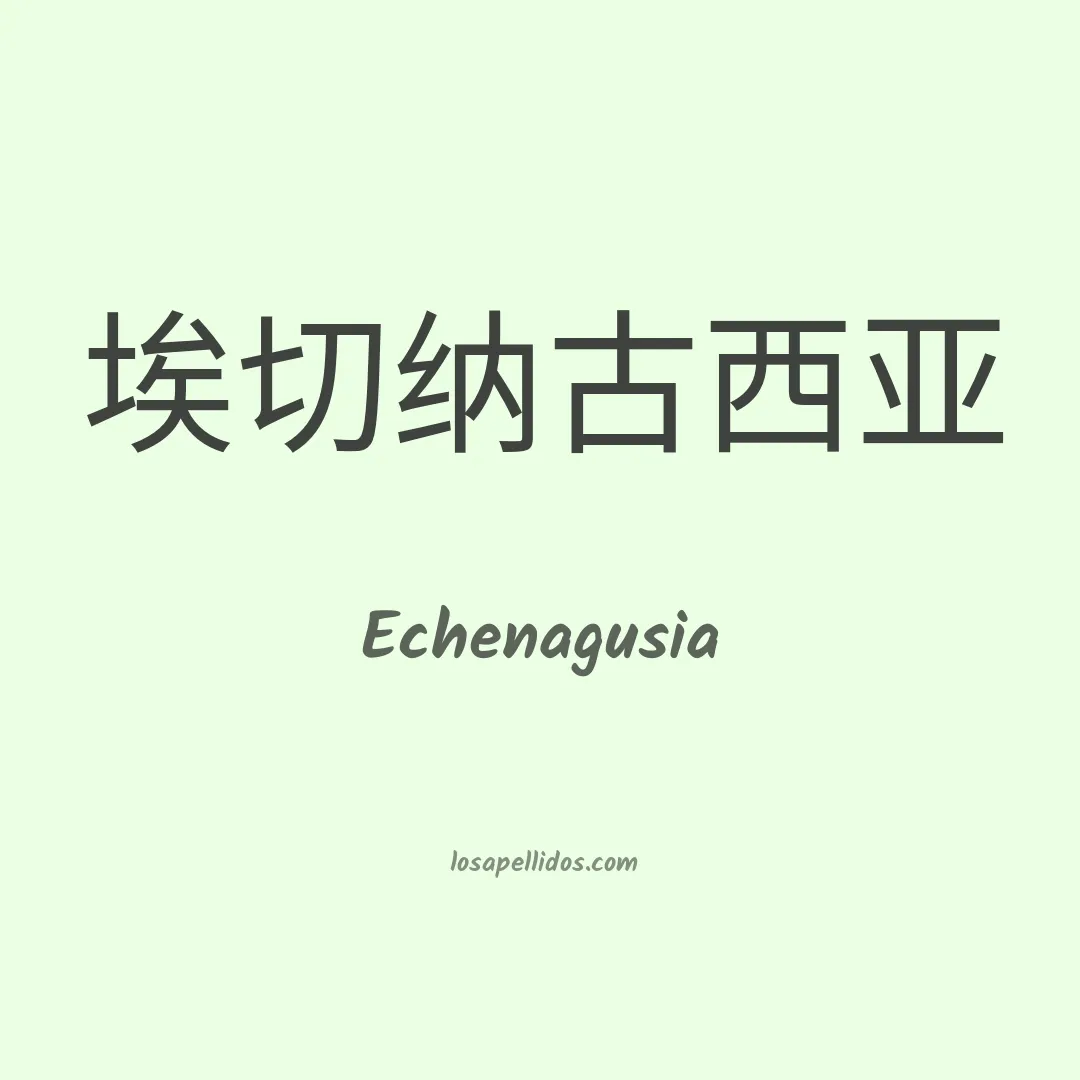 Echenagusia en chino