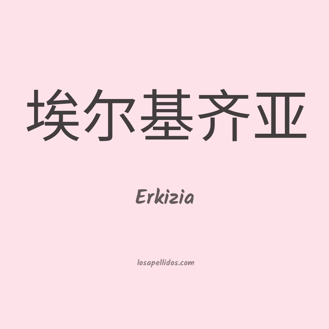 Erkizia en chino