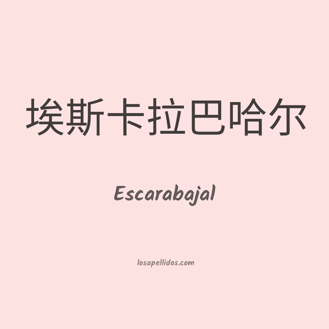 Escarabajal en chino