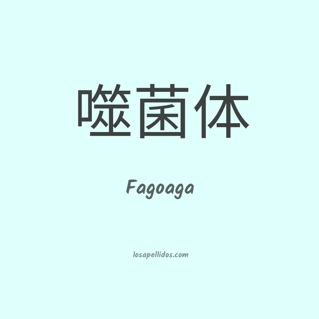 Fagoaga en chino