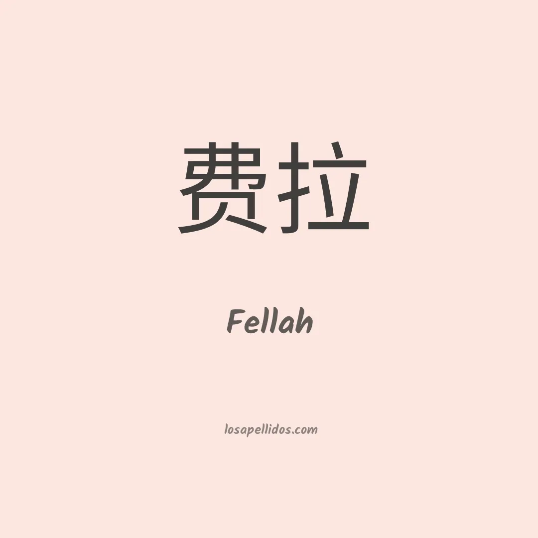 Fellah en chino
