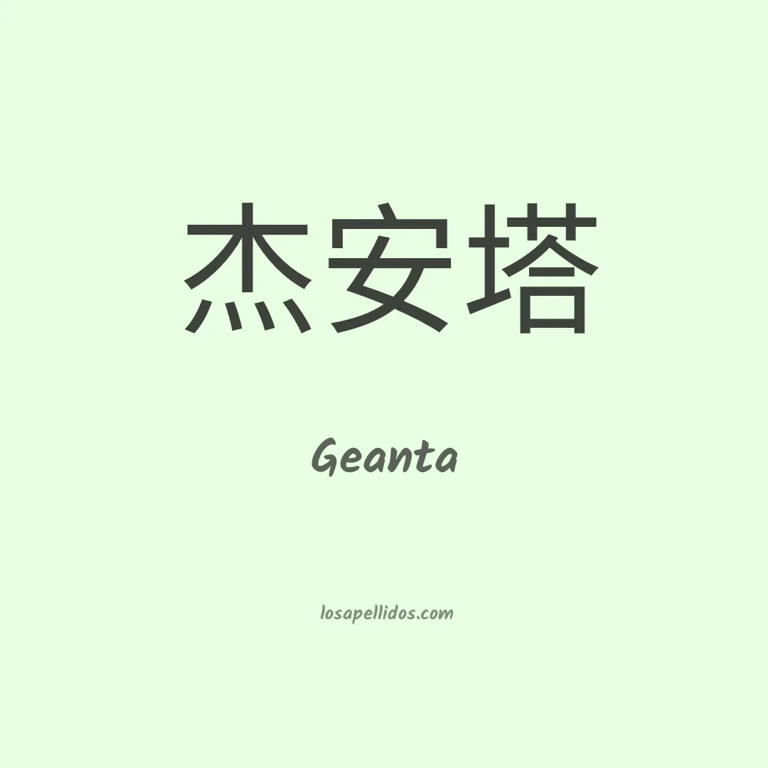 Geanta en chino
