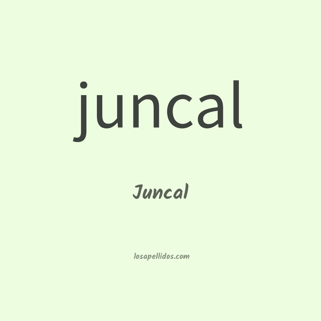Juncal en chino