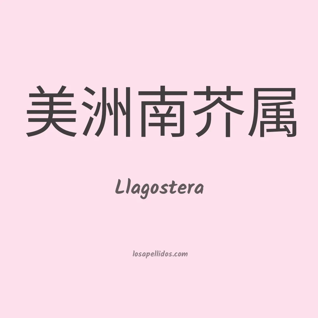 Llagostera en chino