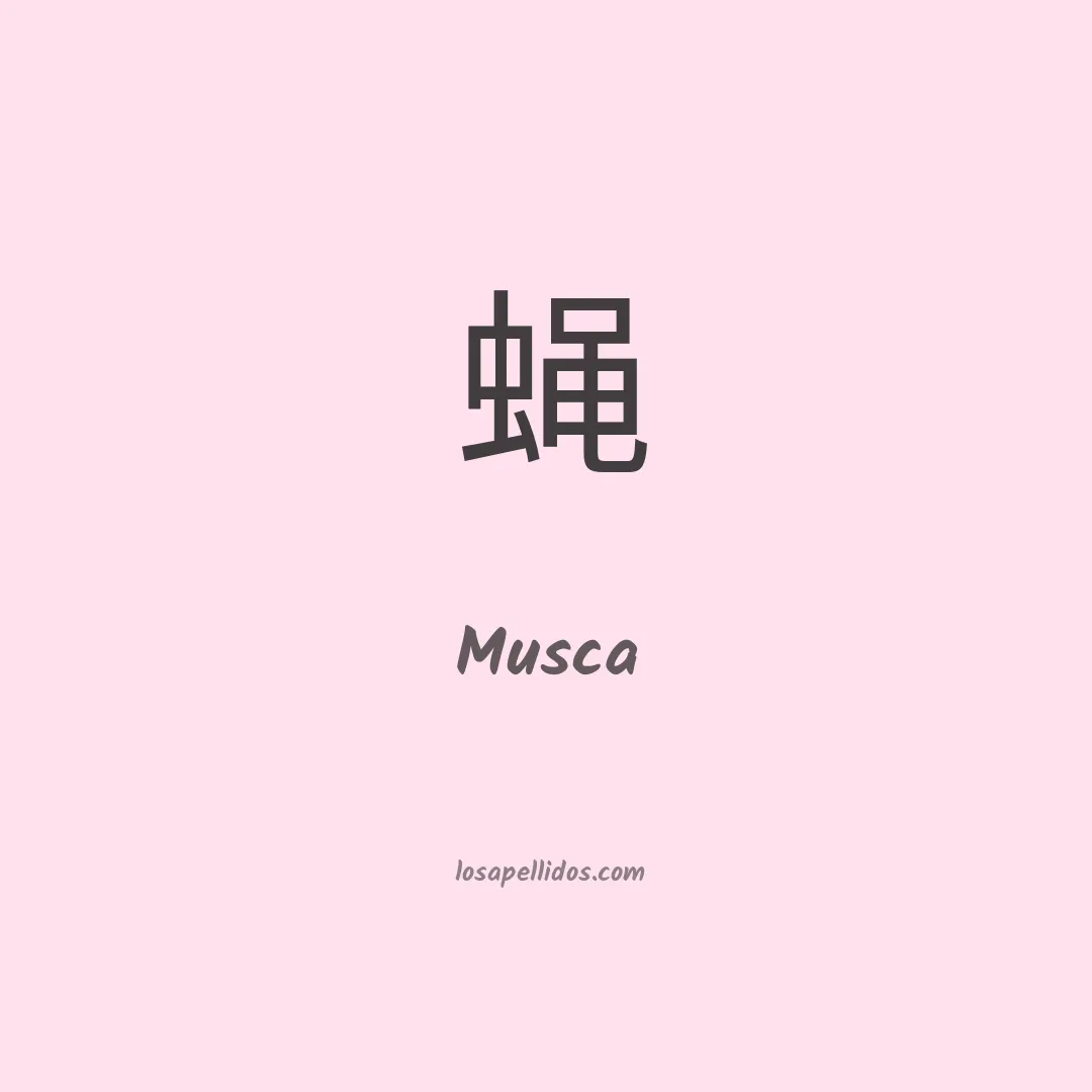 Musca en chino