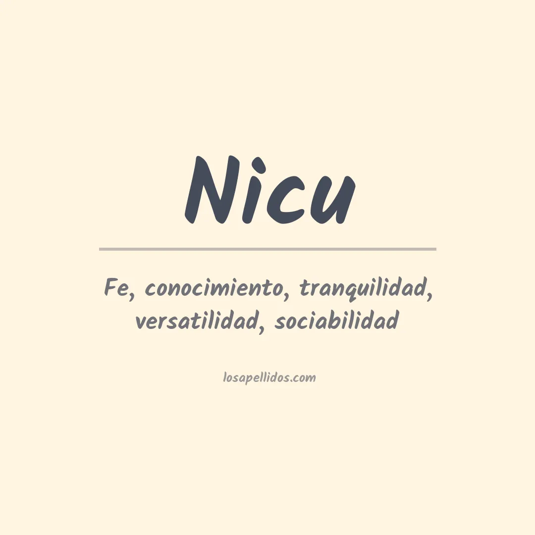 Apellido Nicu