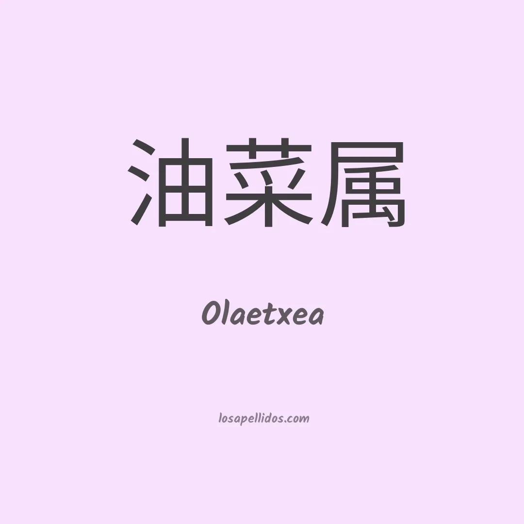 Olaetxea en chino