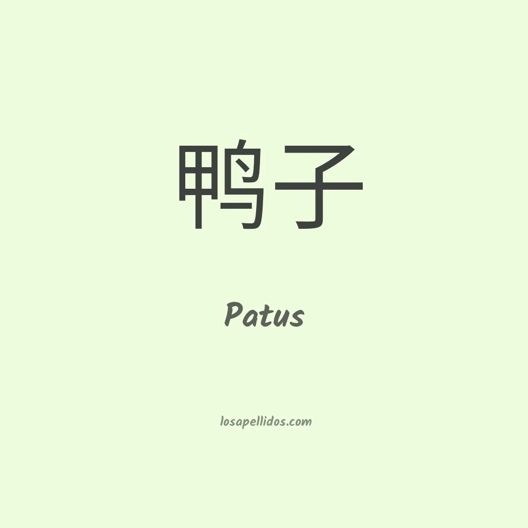 Patus en chino