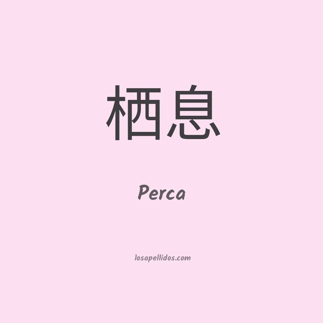 Perca en chino
