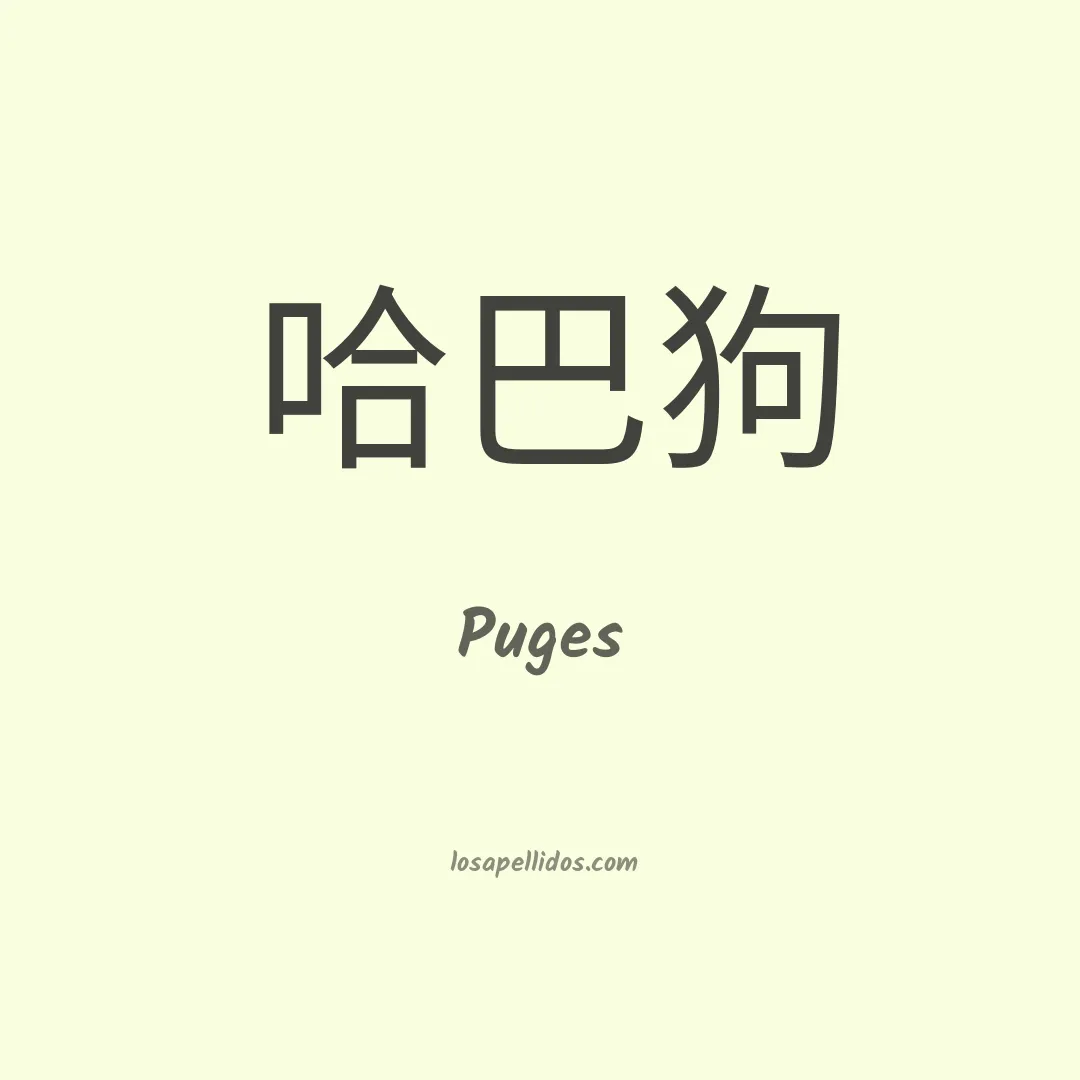 Puges en chino