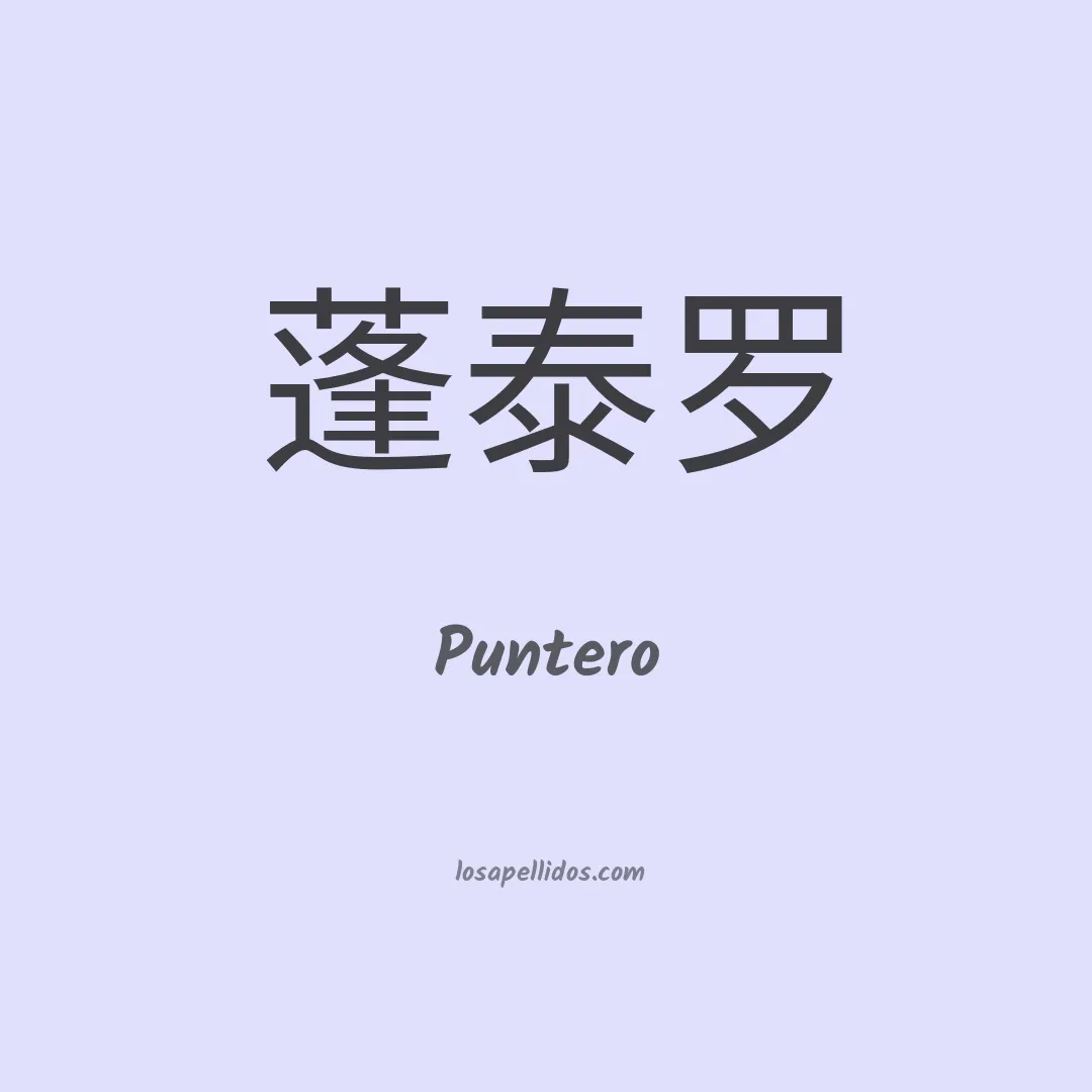 Puntero en chino