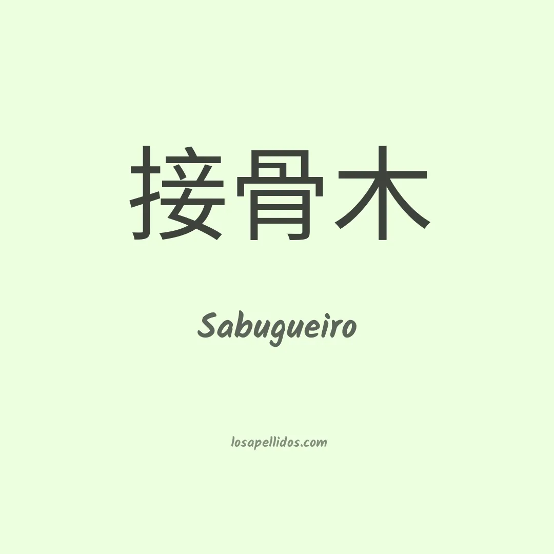 Sabugueiro en chino