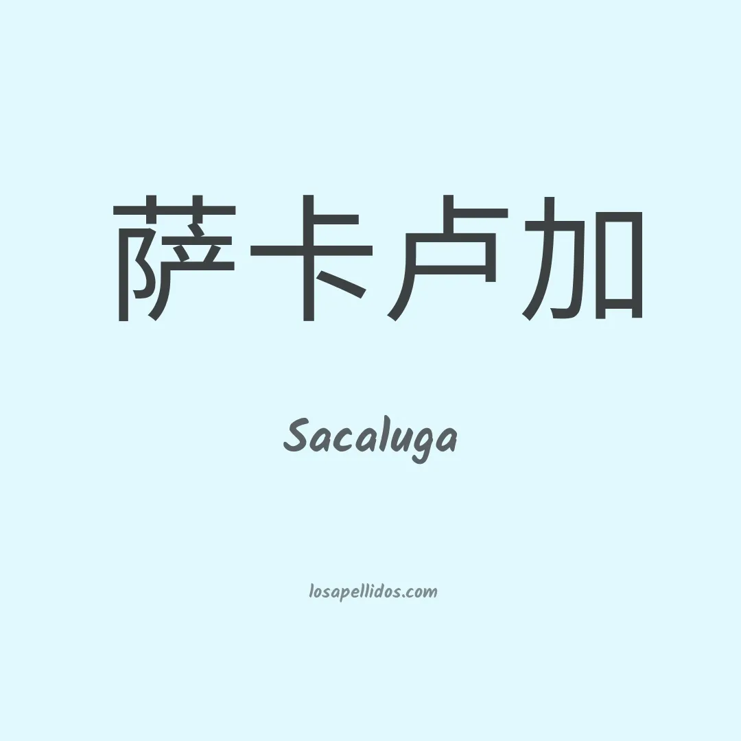 Sacaluga en chino