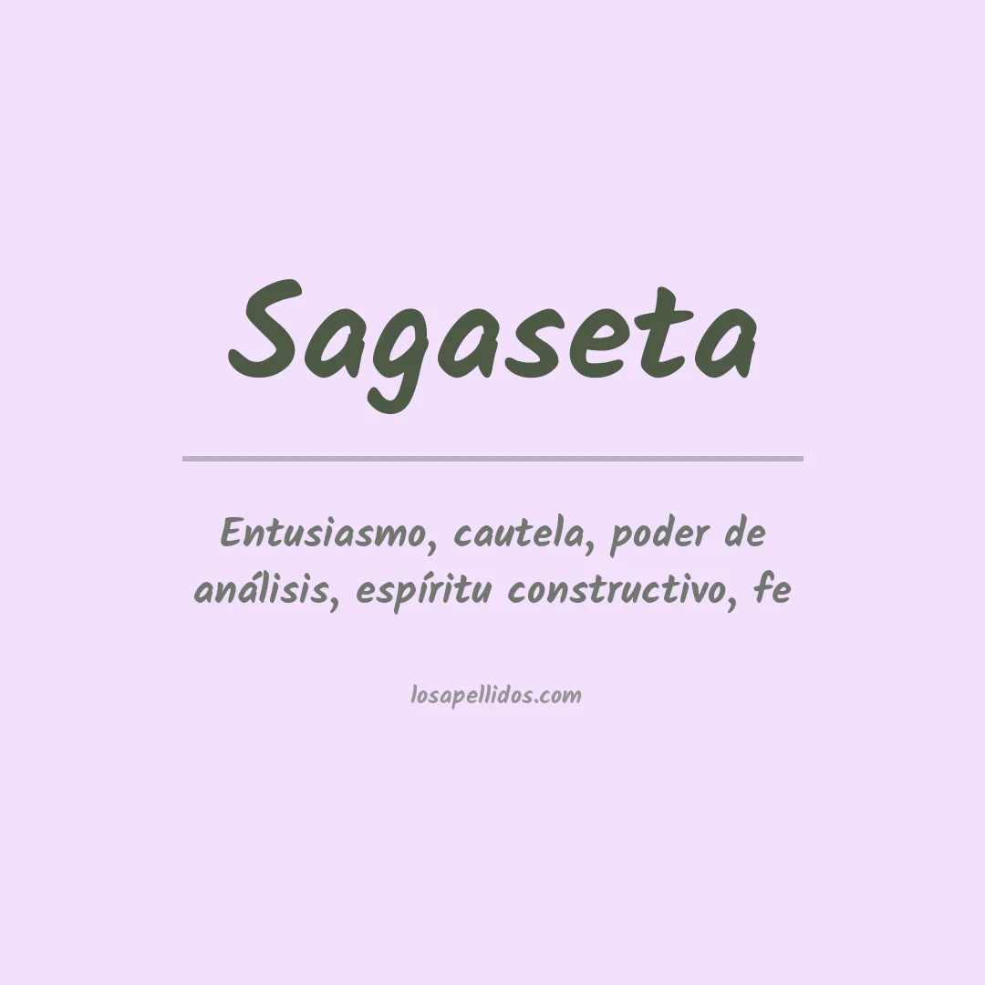 Significado del Apellido Sagaseta