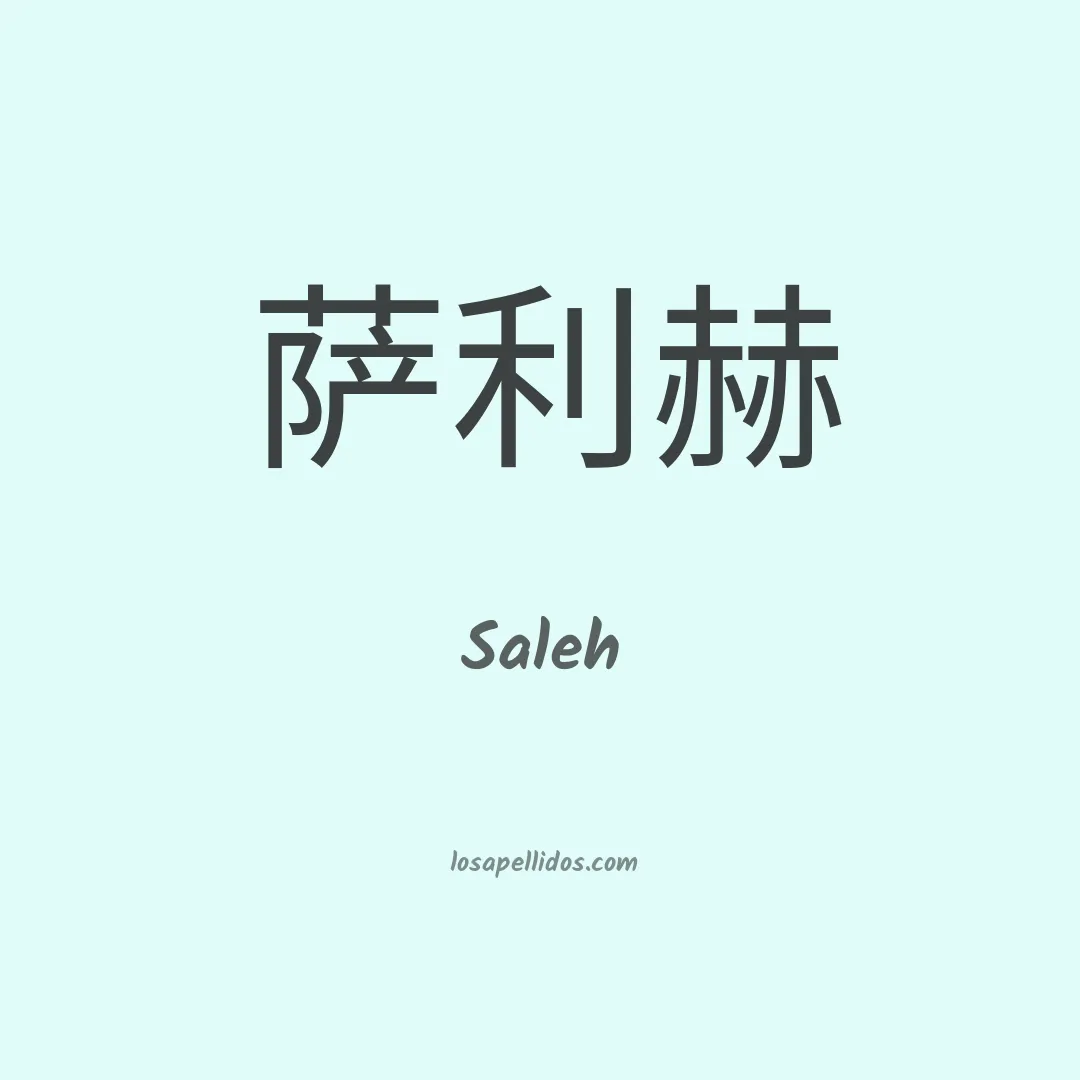 Saleh en chino