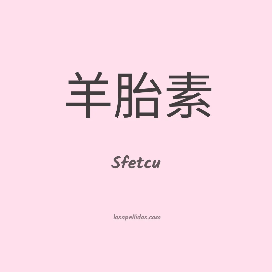 Sfetcu en chino