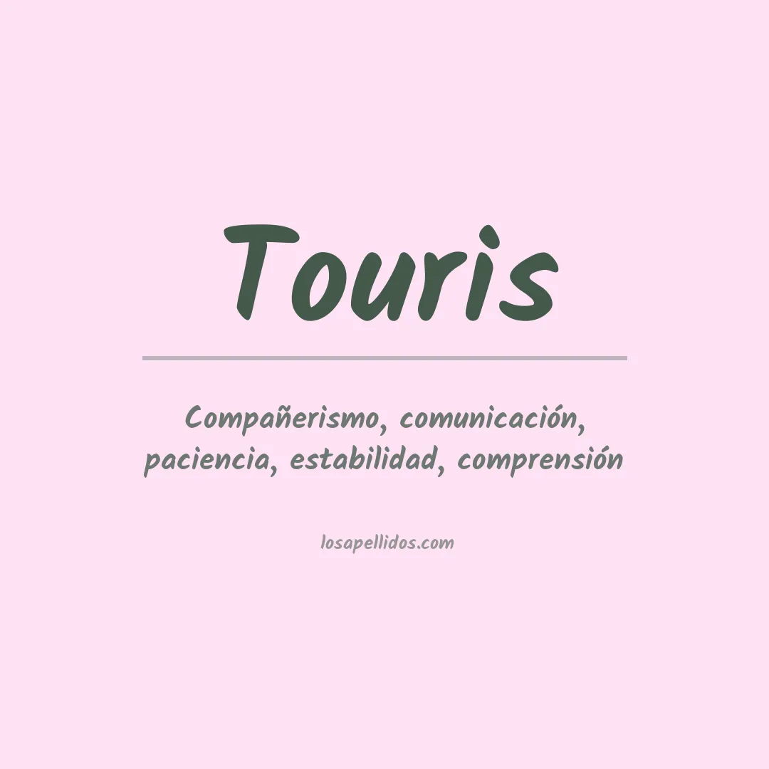 Apellido Touris