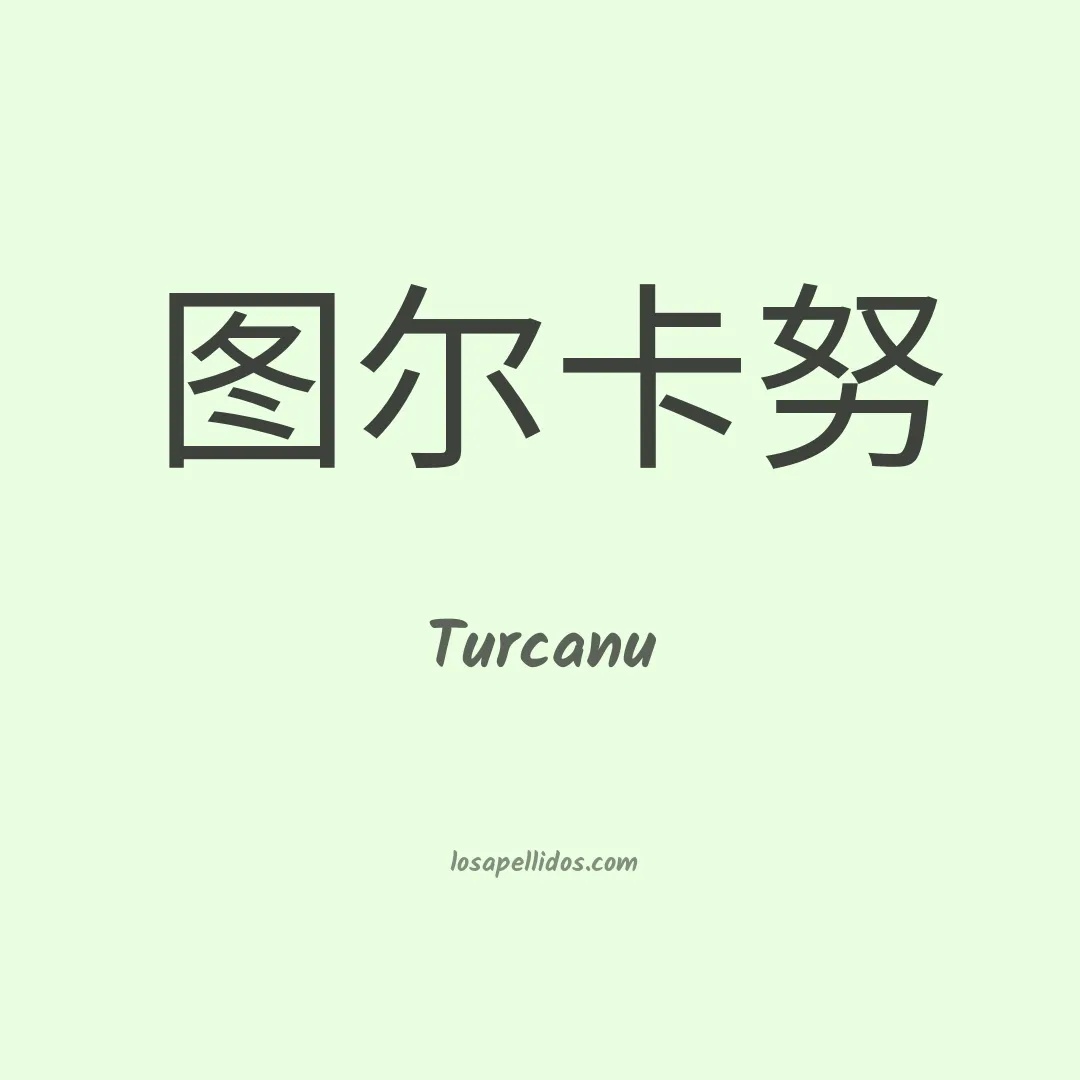 Turcanu en chino