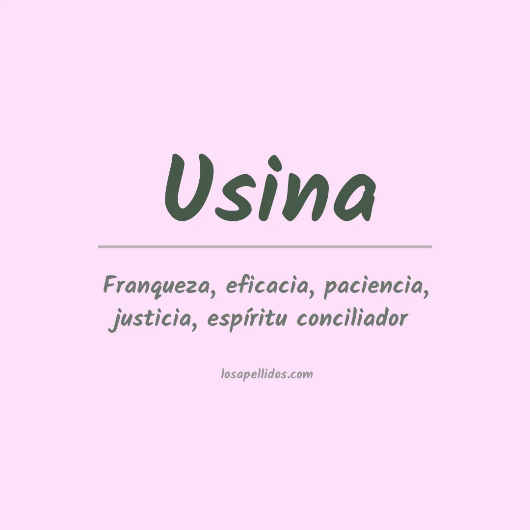 Apellido Usina