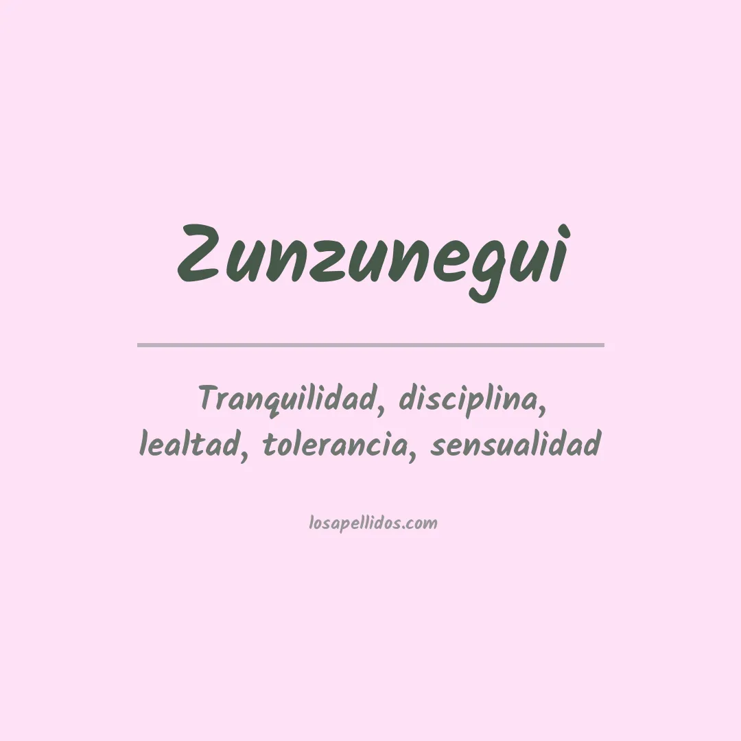 Apellido Zunzunegui